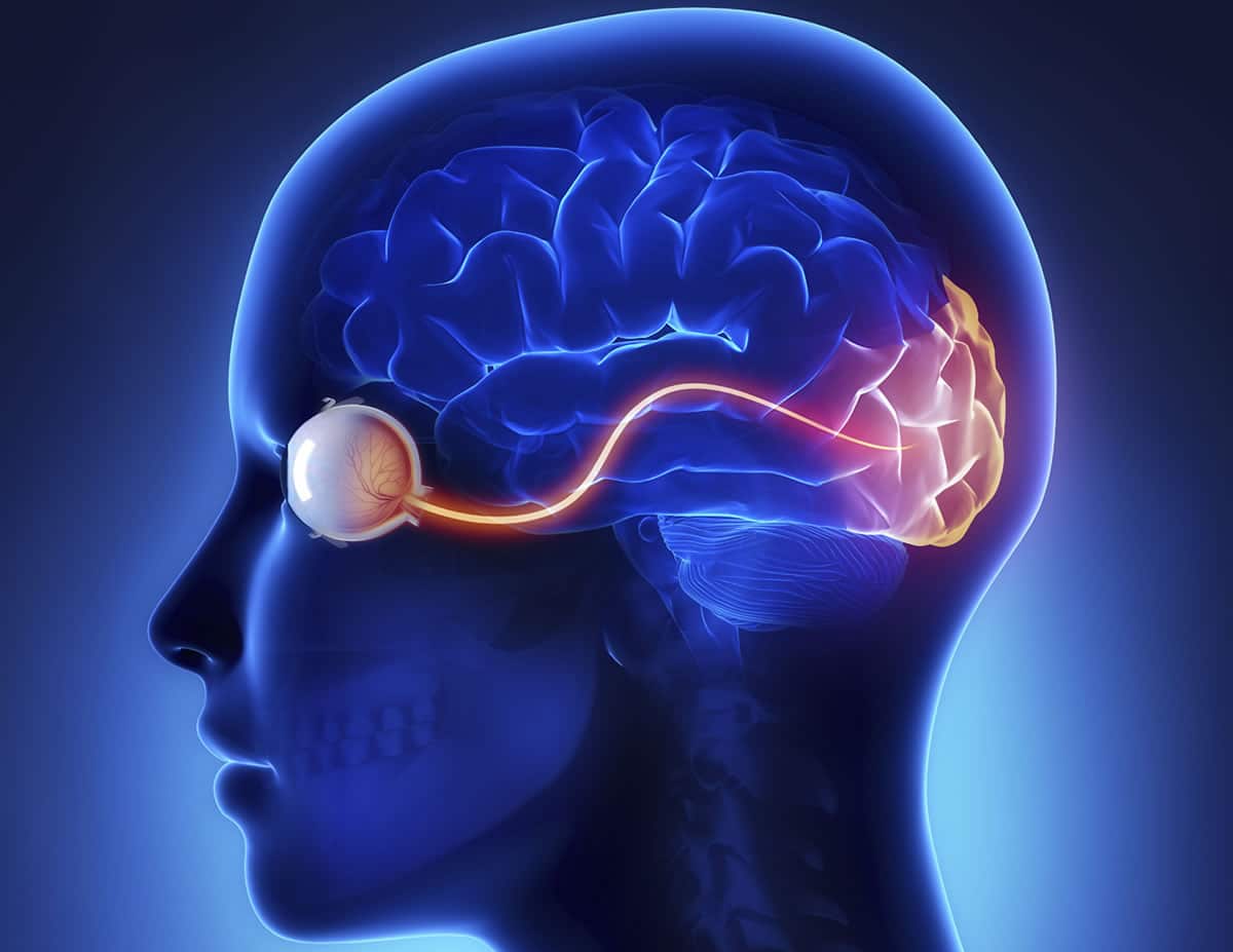 Neuroophthalmology