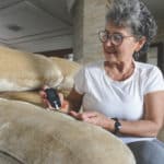 Senior woman with glucometer checking blood sugar level at home